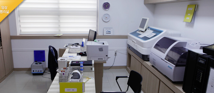 daejeon 갤러리 이미지 3