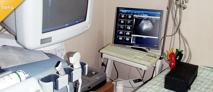 gumi 갤러리 이미지 4