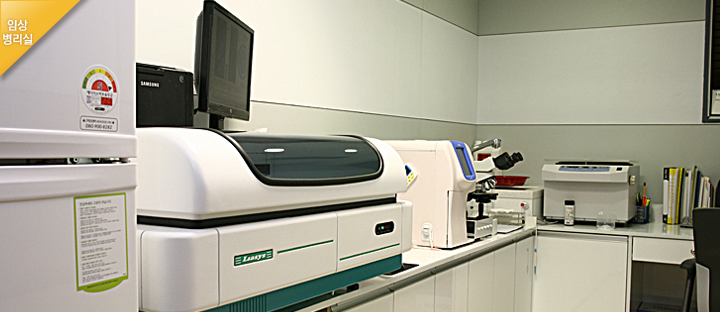 gwangmyeong 갤러리 이미지 4