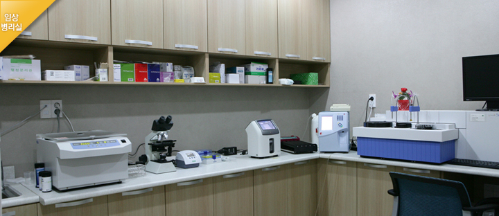 ulsan 갤러리 이미지 4